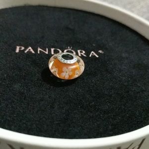 Pandora Charm